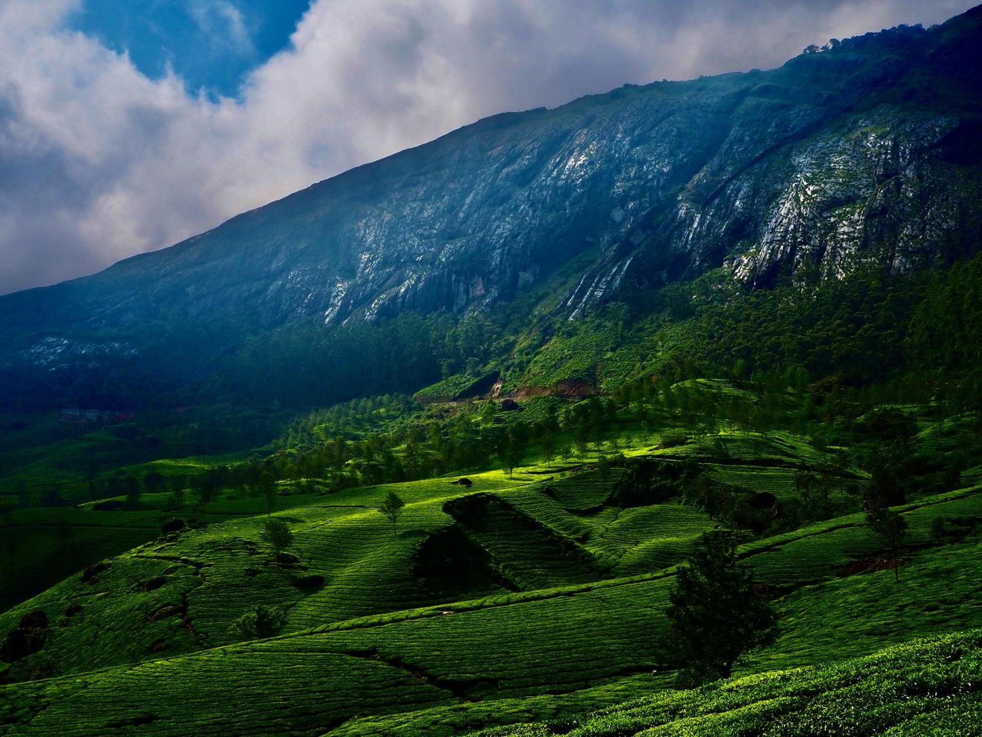 Lockhart Bungalow Munnar - A Cgh Earth Saha Experience Exterior foto